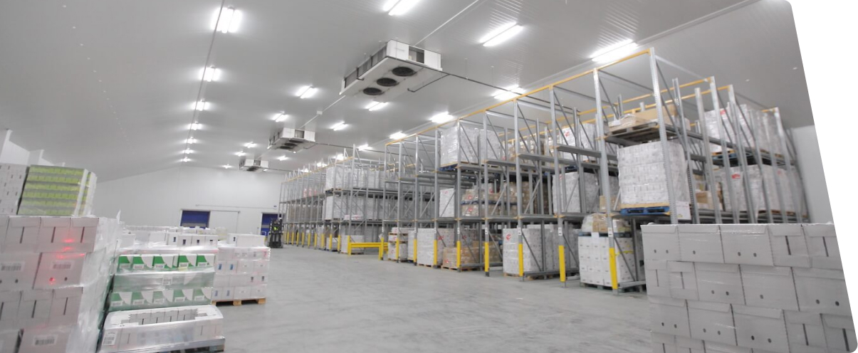 Warehousing and Cold Storage Warehousing and Cold Storage