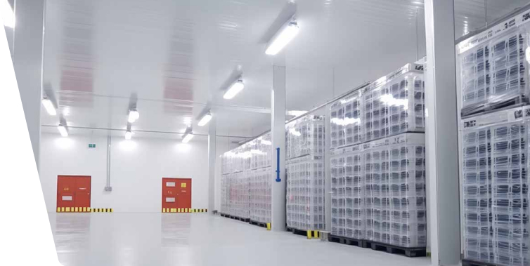 Warehousing and Cold Storage